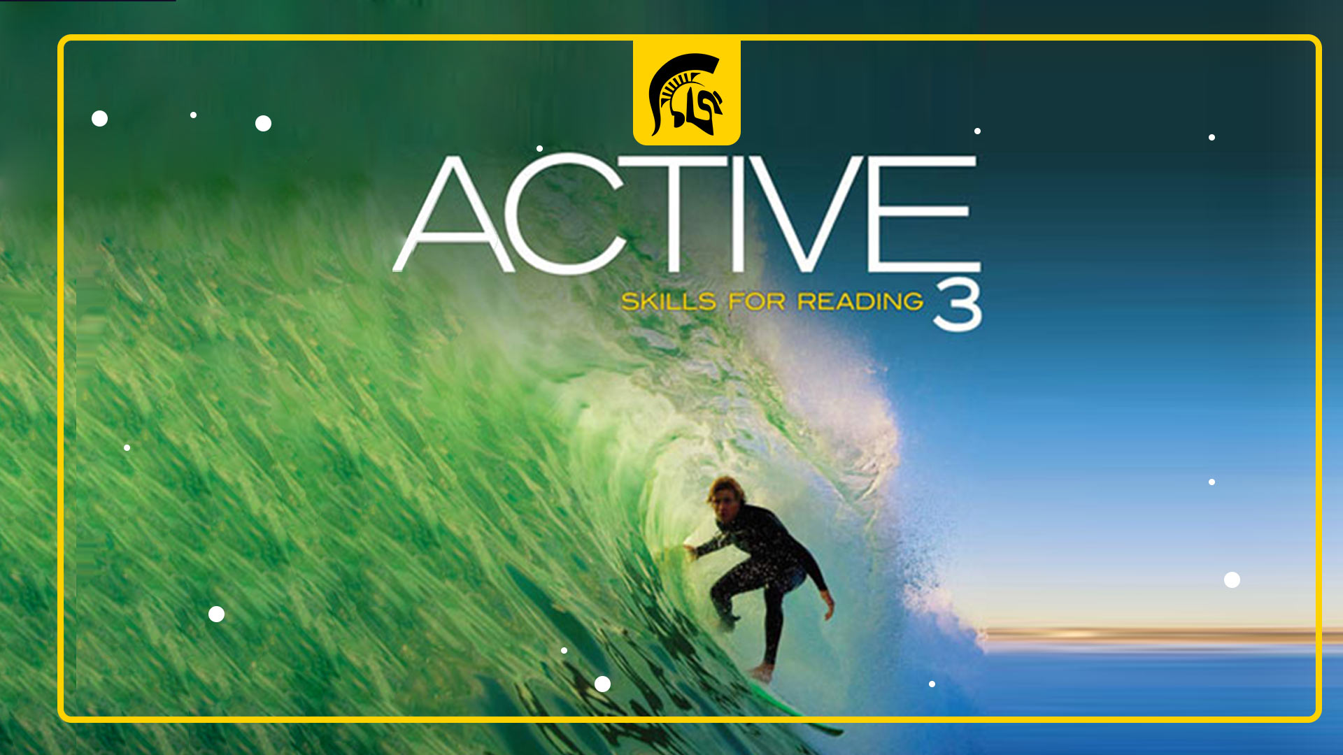 Active Skills for Reading level 3